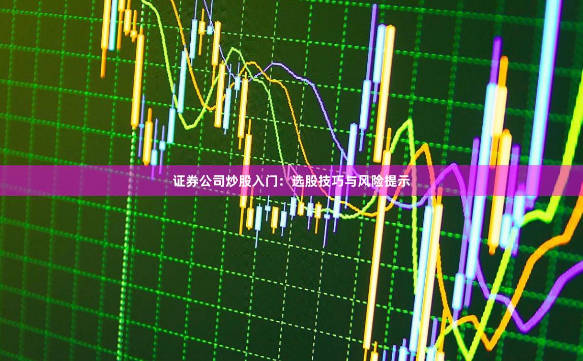 证券公司炒股入门：选股技巧与风险提示